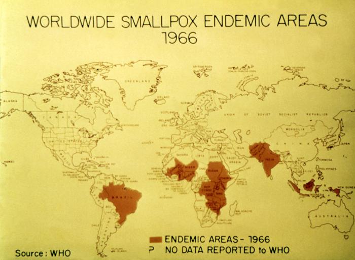 Smallpox Virus