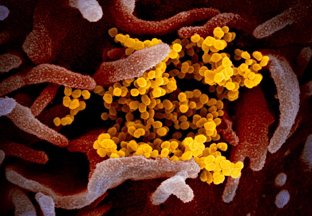 1. How mRNA Vaccines Work