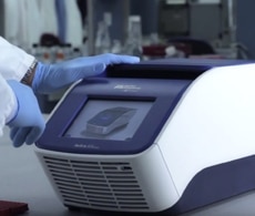 How PCR Testing Works